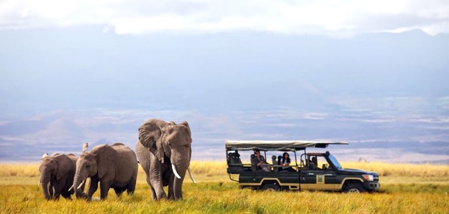 Planning an African Safari – The Things You Must Know