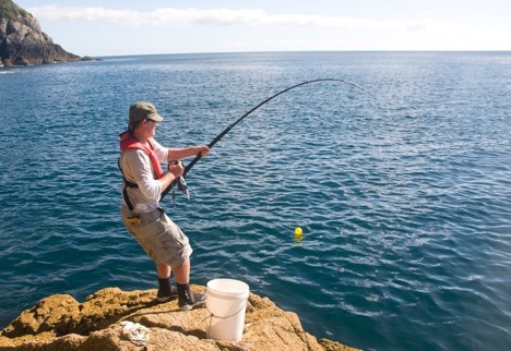A Newbie’s Guide to Fishing like a Pro