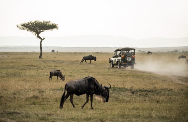 Things to Know When You Are Going on a Safari Trip