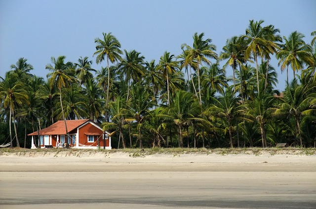 Things to see and do in Goa