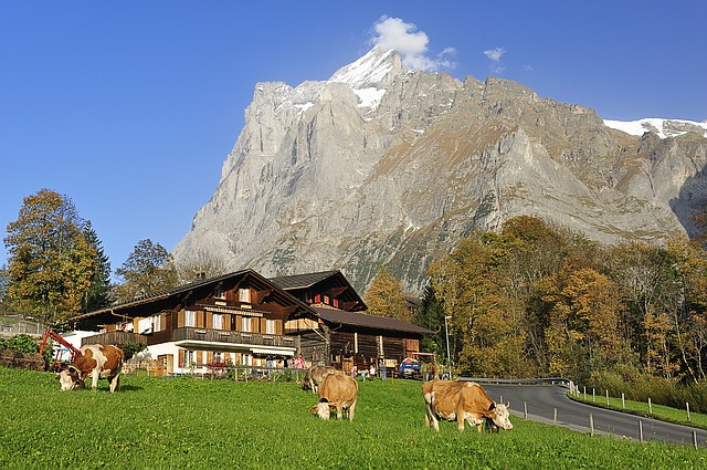 Top Incredible things to do in Grindelwald