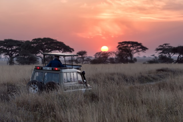 5 Things You Probably Didn’t Know About Safari Holidays