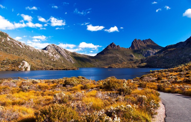 Experience Paradise Populated by Devils - Tasmania