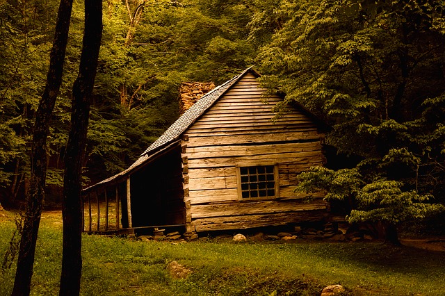 3 Essential Tips for Renting a Cabin