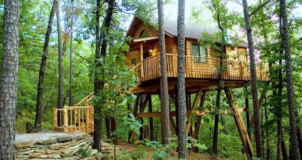 6 Amazing Tree House Hotels to Try Out