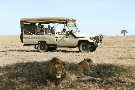 Serengeti Tours 4-x-4 - Tanzania